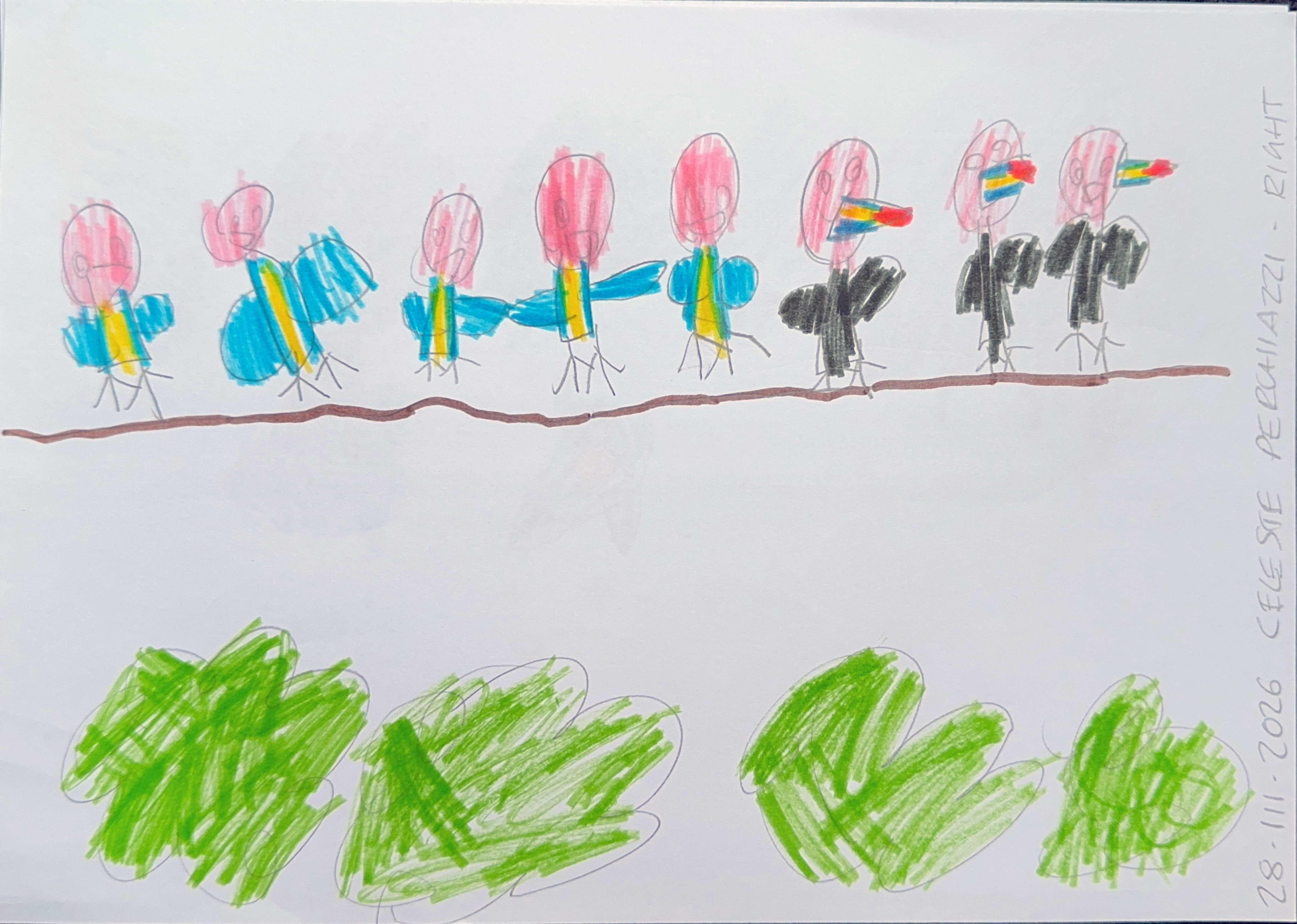 Toucans and parrots, bringing color into places that usually don’t have it.